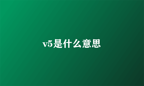 v5是什么意思