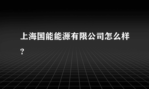 上海国能能源有限公司怎么样？