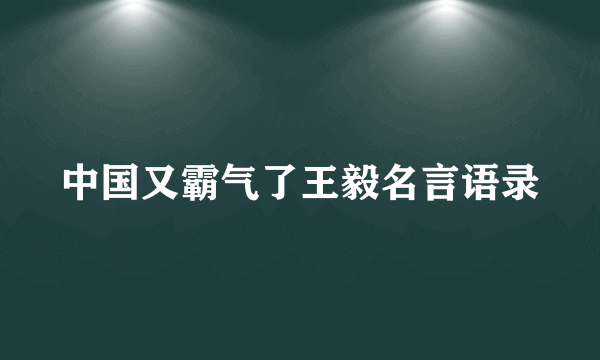 中国又霸气了王毅名言语录