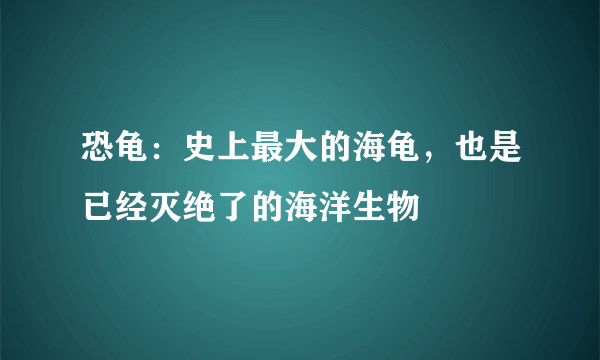 恐龟：史上最大的海龟，也是已经灭绝了的海洋生物