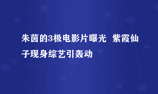 朱茵的3极电影片曝光  紫霞仙子现身综艺引轰动