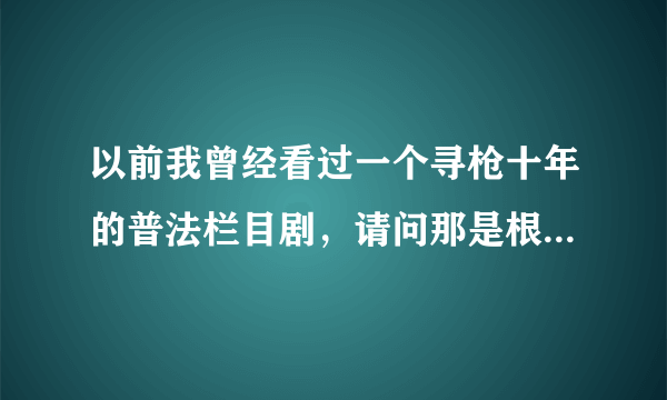 以前我曾经看过一个寻枪十年的普法栏目剧，请问那是根据什么真实事件改编的？