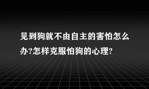 见到狗就不由自主的害怕怎么办?怎样克服怕狗的心理?