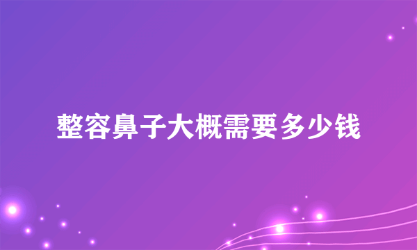 整容鼻子大概需要多少钱