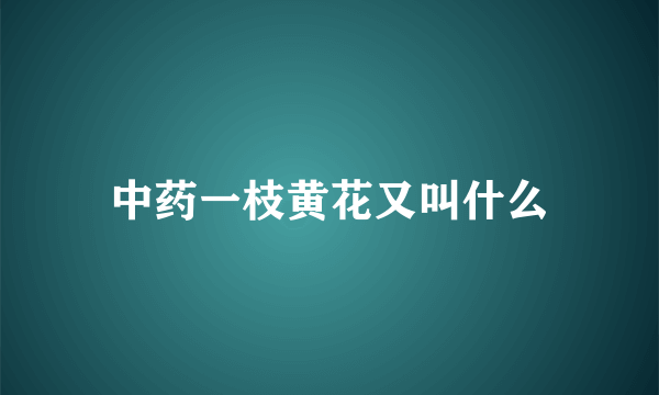 中药一枝黄花又叫什么