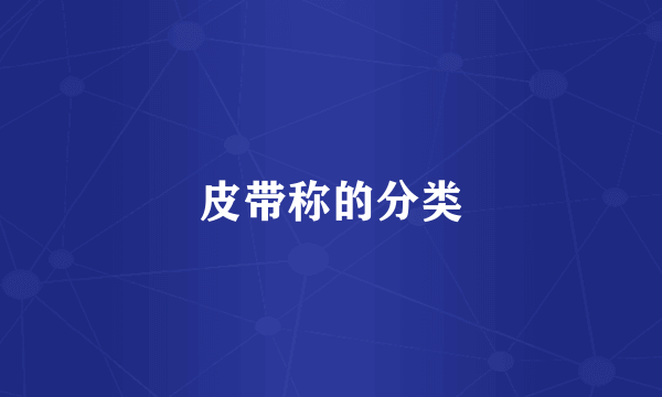 皮带称的分类
