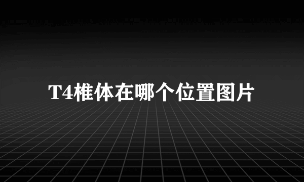 T4椎体在哪个位置图片