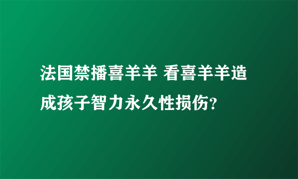 法国禁播喜羊羊 看喜羊羊造成孩子智力永久性损伤？