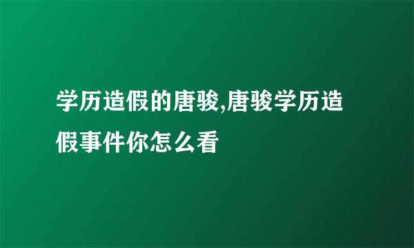 学历造假的唐骏,唐骏学历造假事件你怎么看