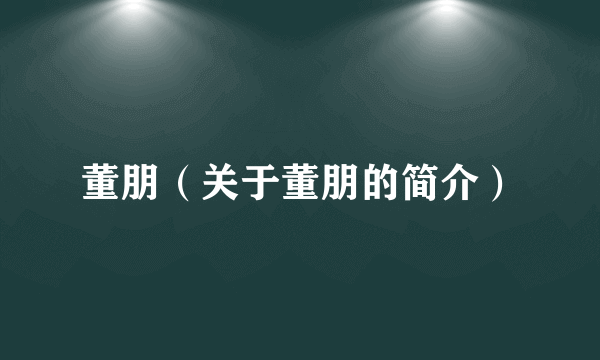 董朋（关于董朋的简介）