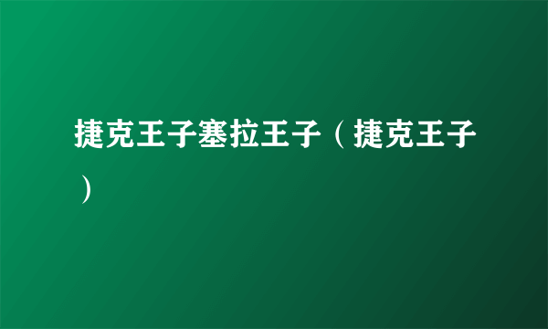 捷克王子塞拉王子（捷克王子）