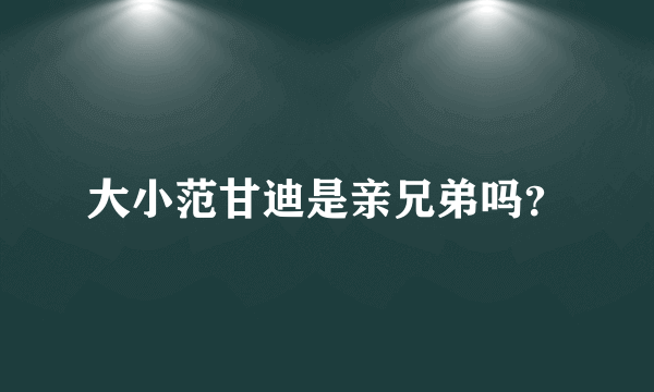 大小范甘迪是亲兄弟吗？