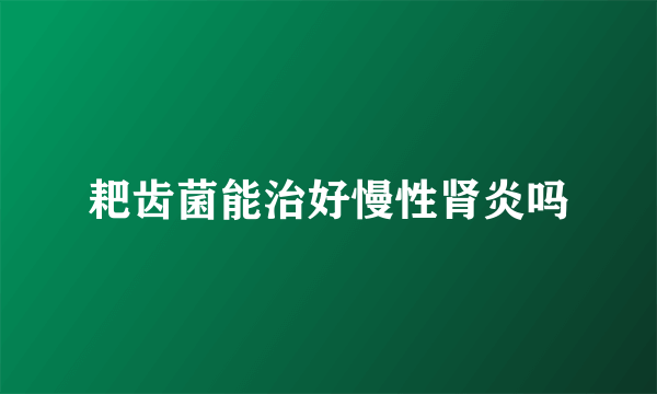 耙齿菌能治好慢性肾炎吗