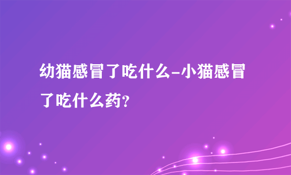 幼猫感冒了吃什么-小猫感冒了吃什么药？