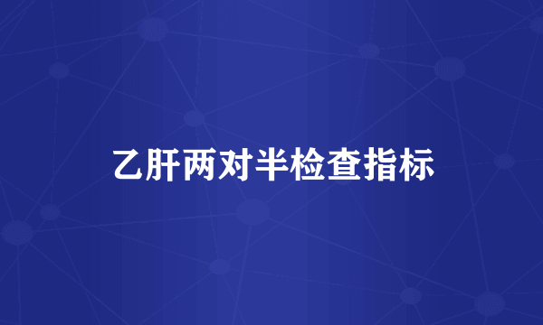 乙肝两对半检查指标