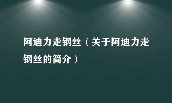 阿迪力走钢丝（关于阿迪力走钢丝的简介）