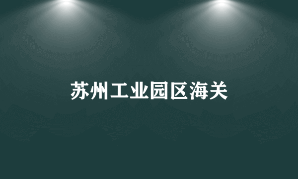 苏州工业园区海关
