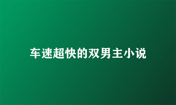 车速超快的双男主小说