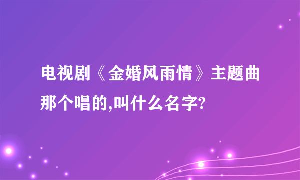 电视剧《金婚风雨情》主题曲那个唱的,叫什么名字?