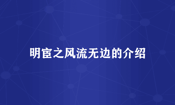 明宦之风流无边的介绍