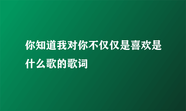 你知道我对你不仅仅是喜欢是什么歌的歌词
