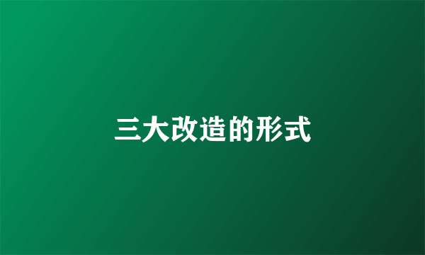 三大改造的形式