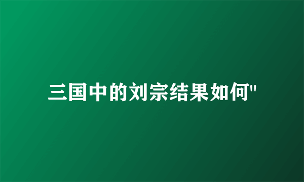三国中的刘宗结果如何