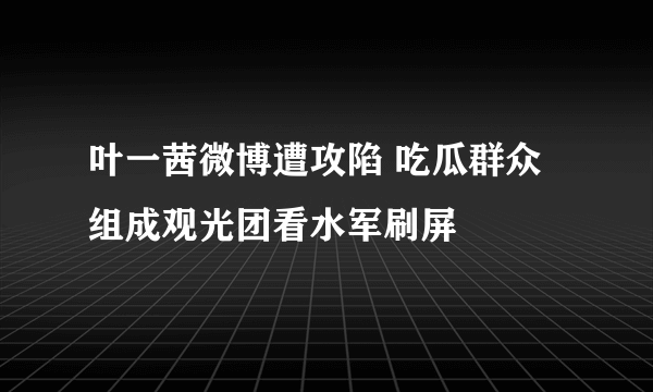 叶一茜微博遭攻陷 吃瓜群众组成观光团看水军刷屏