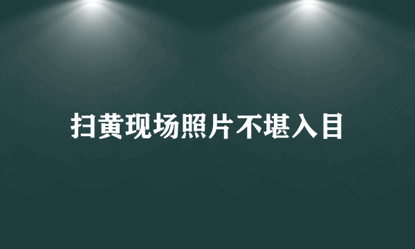 扫黄现场照片不堪入目