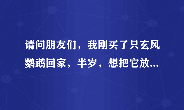 请问朋友们，我刚买了只玄风鹦鹉回家，半岁，想把它放生，不知道它在外面能生存吗？都说说把，谢谢