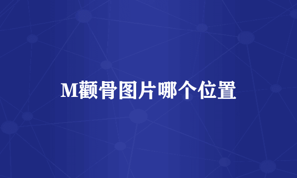M颧骨图片哪个位置
