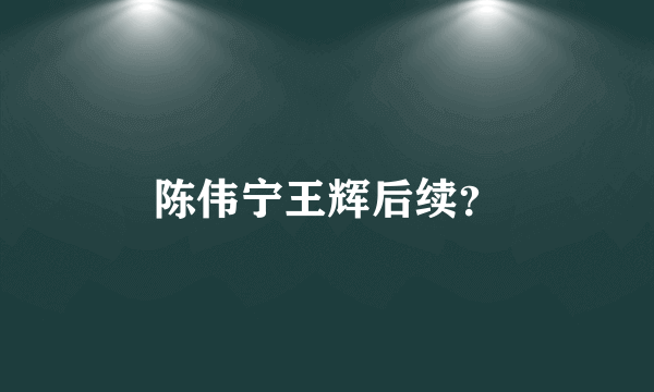 陈伟宁王辉后续？