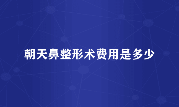 朝天鼻整形术费用是多少