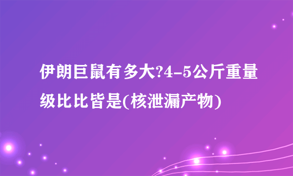 伊朗巨鼠有多大?4-5公斤重量级比比皆是(核泄漏产物)