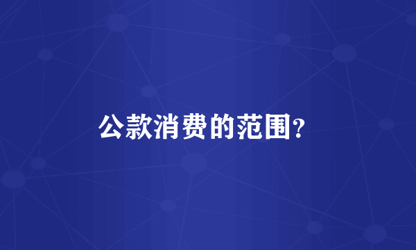 公款消费的范围？