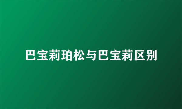 巴宝莉珀松与巴宝莉区别