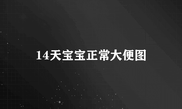 14天宝宝正常大便图