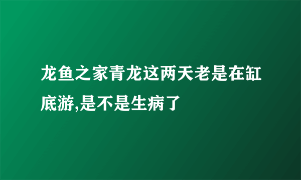 龙鱼之家青龙这两天老是在缸底游,是不是生病了