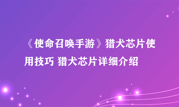《使命召唤手游》猎犬芯片使用技巧 猎犬芯片详细介绍