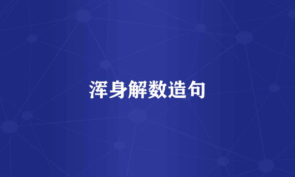 浑身解数造句