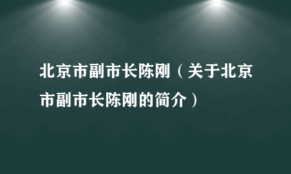 北京市副市长陈刚（关于北京市副市长陈刚的简介）