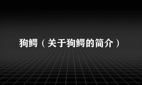 狗鳄（关于狗鳄的简介）