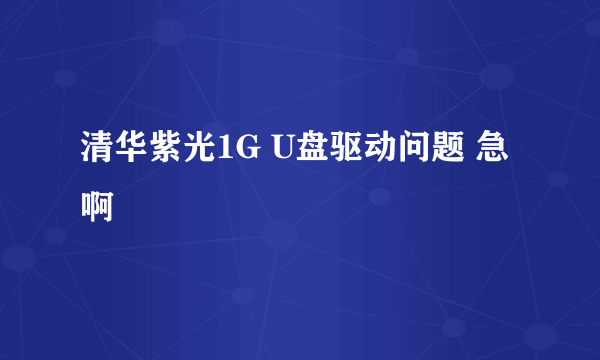 清华紫光1G U盘驱动问题 急啊