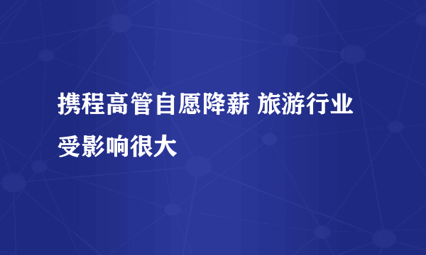 携程高管自愿降薪 旅游行业受影响很大