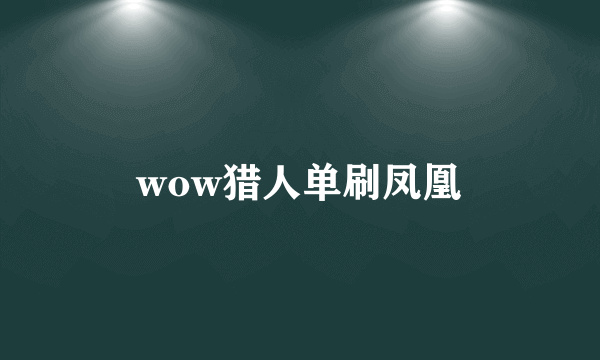 wow猎人单刷凤凰