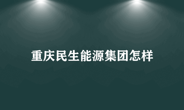 重庆民生能源集团怎样