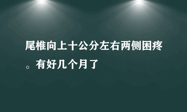 尾椎向上十公分左右两侧困疼。有好几个月了