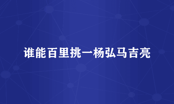谁能百里挑一杨弘马吉亮