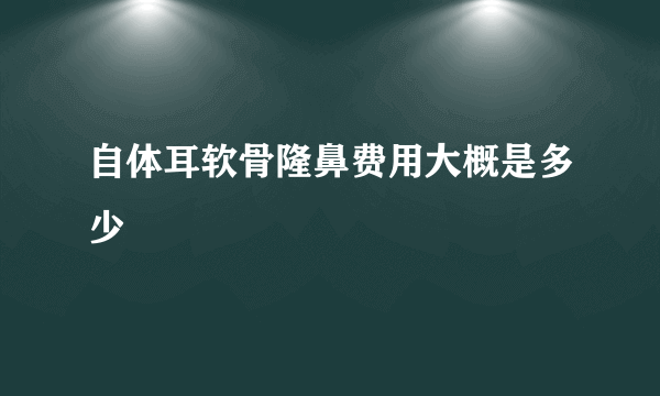 自体耳软骨隆鼻费用大概是多少